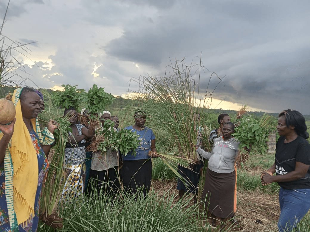A group of people standing in front of a blackboard.