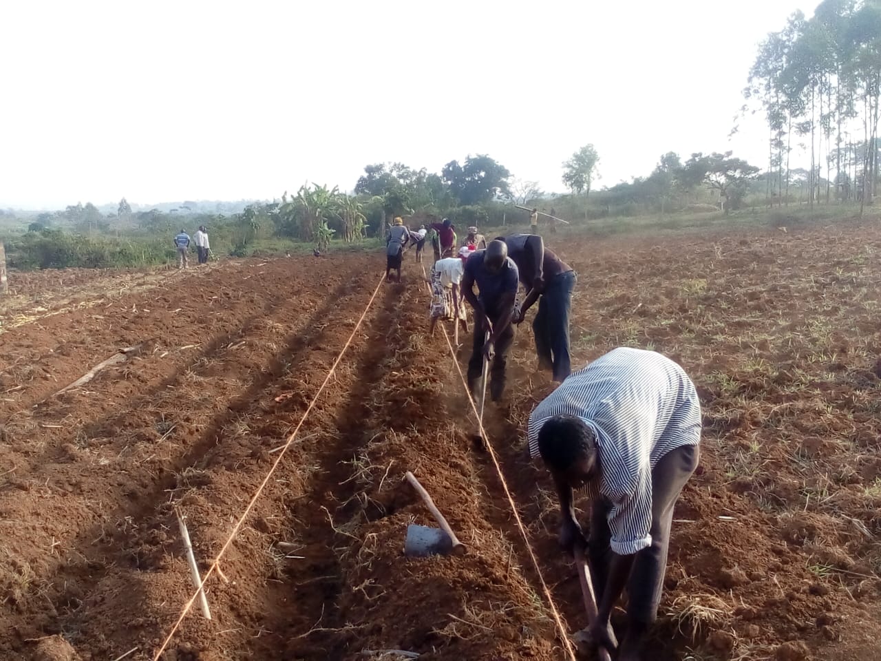 A group of people standing in front of a blackboard.