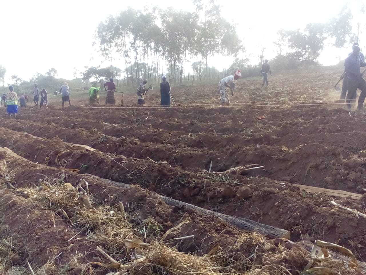 A group of people standing in front of a blackboard.