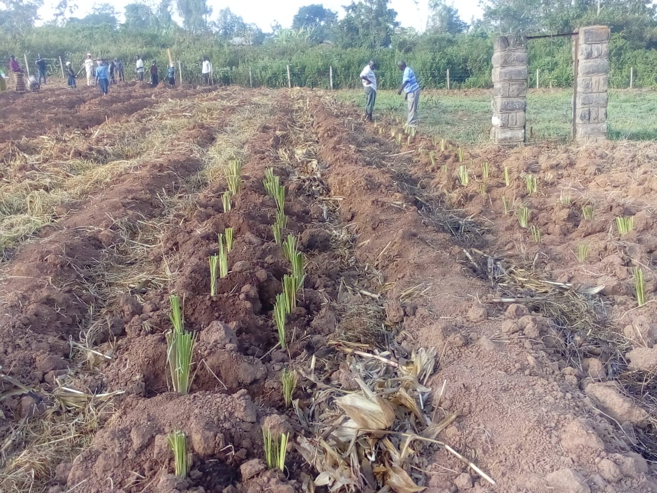 A group of people standing in front of a blackboard.