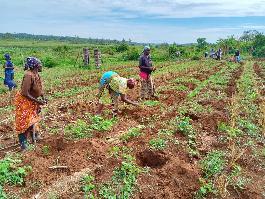 A group of people standing in front of a blackboard.
