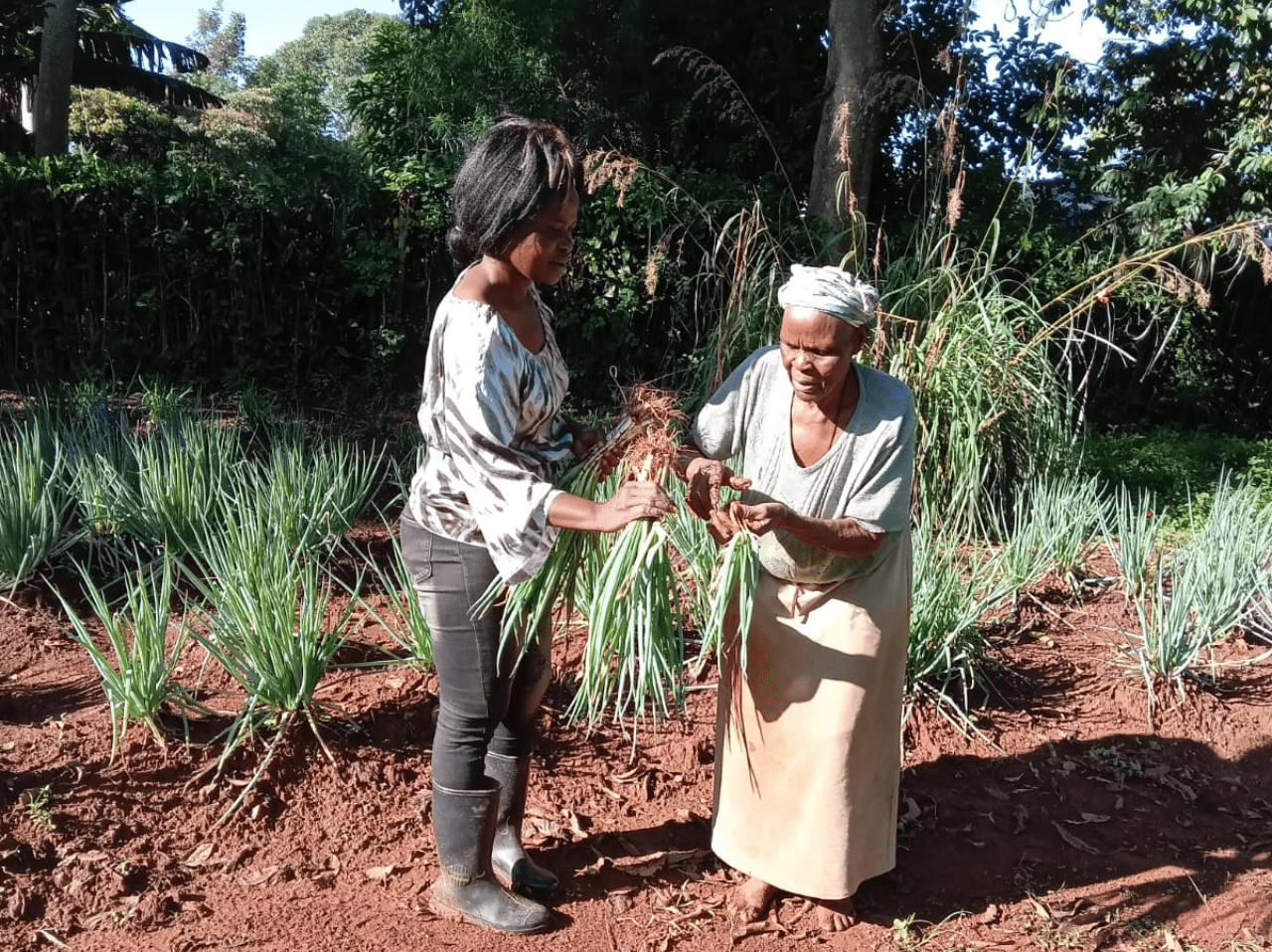A group of people standing in front of a blackboard.