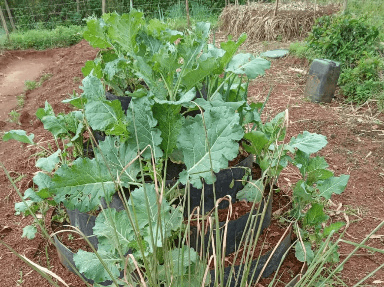 A group of people standing in front of a blackboard.