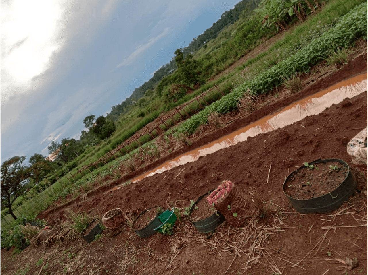 A group of people standing in front of a blackboard.