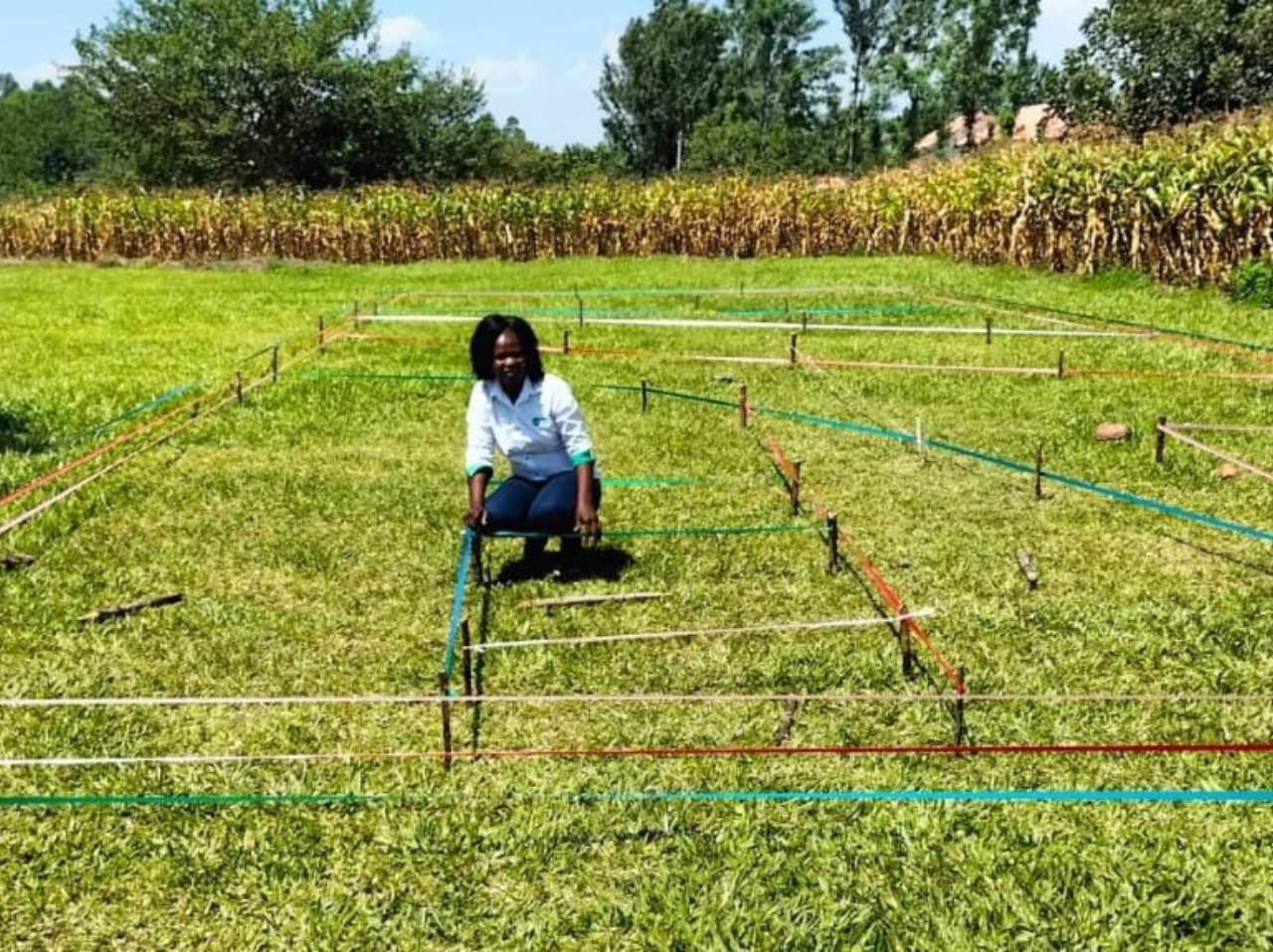 A group of people standing in front of a blackboard.
